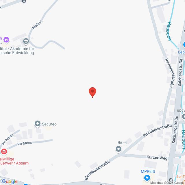 Lehrlingsportal.at Karte mit einem mit einer roten Stecknadel markierten Ort entlang der Riccabonastraße und der Salzbergstraße in Absam, Österreich, mit umliegenden Straßen und Sehenswürdigkeiten.