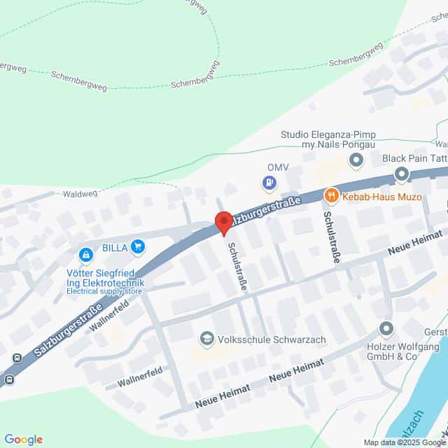 Lehrlingsportal.at Karte der Salzburgerstraße und Umgebung im österreichischen Pongau mit verschiedenen Geschäften, Straßen und einer Schule.