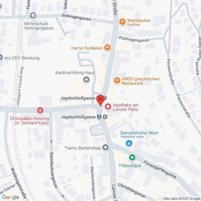 Lehrlingsportal.at Eine Karte, die die Kreuzung von Jagdschloßgasse und Veitingergasse in Wien hervorhebt und nahegelegene Geschäfte und Sehenswürdigkeiten zeigt.