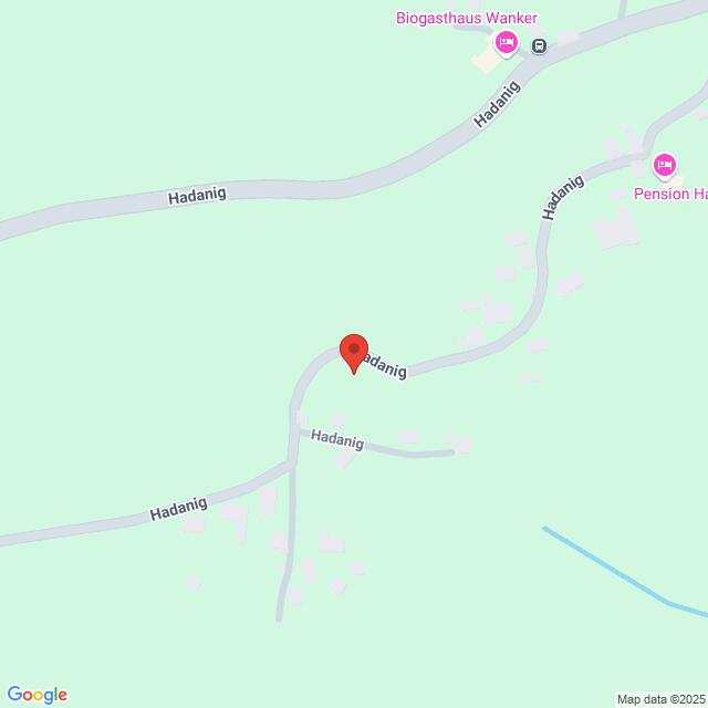 Lehrlingsportal.at Ein Screenshot von Google Maps, der eine Stecknadel auf der Hadanigstraße zeigt, mit nahegelegenen Sehenswürdigkeiten wie dem Biogasthaus Wanker und der Pension H.