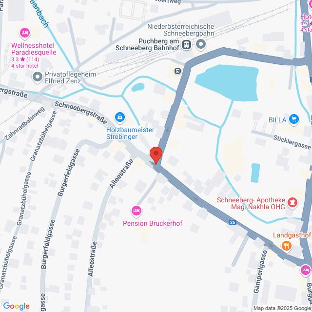 Lehrlingsportal.at Karte, die einen Abschnitt von Puchberg am Schneeberg, Österreich, mit eingezeichneten Straßen, Geschäften und Sehenswürdigkeiten zeigt, darunter Bahnhof, Apotheke und Hotels.
