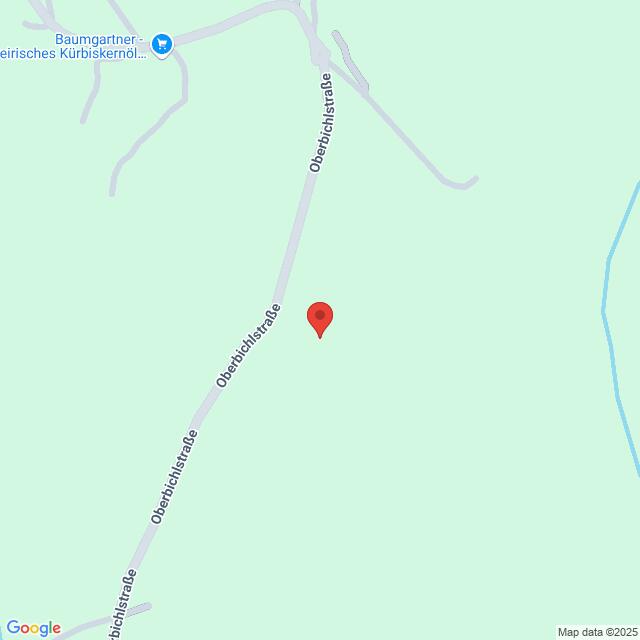 Lehrlingsportal.at Eine einfache Karte mit einer roten Stecknadel an der Oberbichlstraße, in der Nähe von Baumgartner, Steierisches Kürbiskernöl in Österreich, mit minimalen Details zur Umgebung.