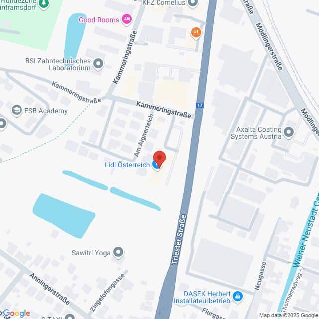 Lehrlingsportal.at Karte mit der Lage von Lidl Österreich in der Krammergasse in der Nähe der Triester Straße in Österreich, mit Beschriftung der umliegenden Geschäfte und Straßen.