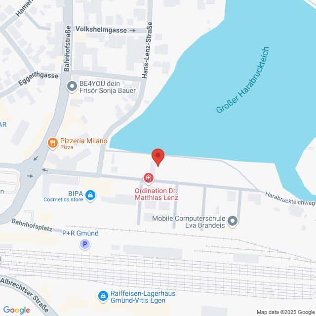 Lehrlingsportal.at Karte mit einem Standort in der Nähe des Großen Harabruckteichs in Gmünd, Österreich, mit eingezeichneten Geschäften in der Nähe, darunter eine Pizzeria, ein Kosmetikgeschäft und eine Arztpraxis.