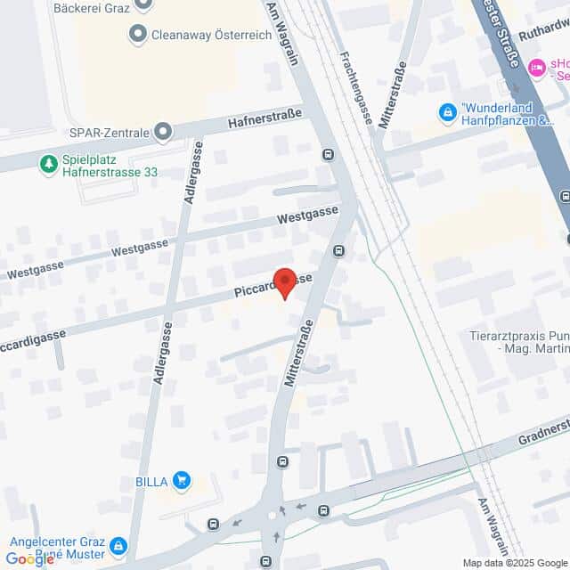Lehrlingsportal.at Karte der Kreuzung Piccardigasse und Mittelgasse in Graz, Österreich, mit einem roten Standortmarker auf der Piccardigasse. Nahegelegene Straßen und interessante Orte sind sichtbar.
