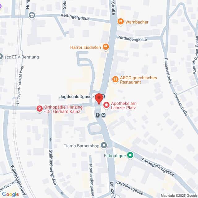 Lehrlingsportal.at Karte der Gegend um Jagdschloßgasse und Lainzer Straße in Wien, Österreich, mit Beschriftung der umliegenden Geschäfte und Arztpraxen.