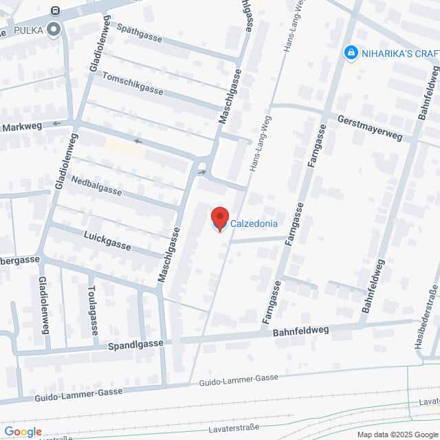 Lehrlingsportal.at Eine Karte zeigt die Lage von Calzedonia in der Maschlgasse, umgeben von Straßen wie Haagengasse, Fangasse und Luickgasse.