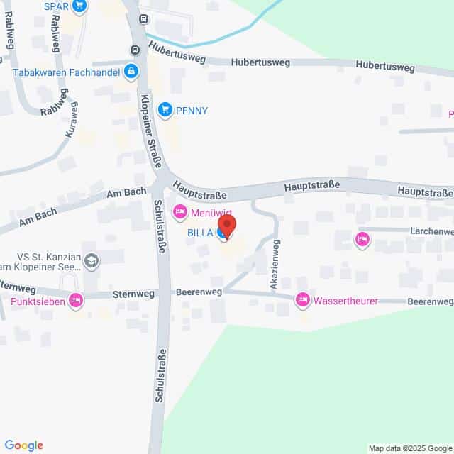 Lehrlingsportal.at Karte eines Stadtteils mit beschrifteten Straßen und Geschäften, darunter BILLA, PENNY und Lebensmittelläden, zentriert auf die Hauptstraße.