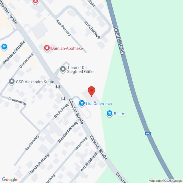 Lehrlingsportal.at Eine Karte, die den Standort von Lidl Österreich in der Nähe der Villacher Straße und in der Nähe von BILLA und Damian-Apotheke in einem städtischen Gebiet zeigt.