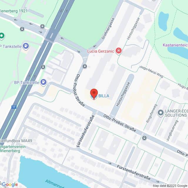 Lehrlingsportal.at Eine digitale Karte zeigt den Standort eines BILLA-Supermarkts in der Nähe der Otto-Probst-Straße und der Fürstenhoferstraße in Wien, Österreich, mit Beschriftung der umliegenden Straßen und Sehenswürdigkeiten.