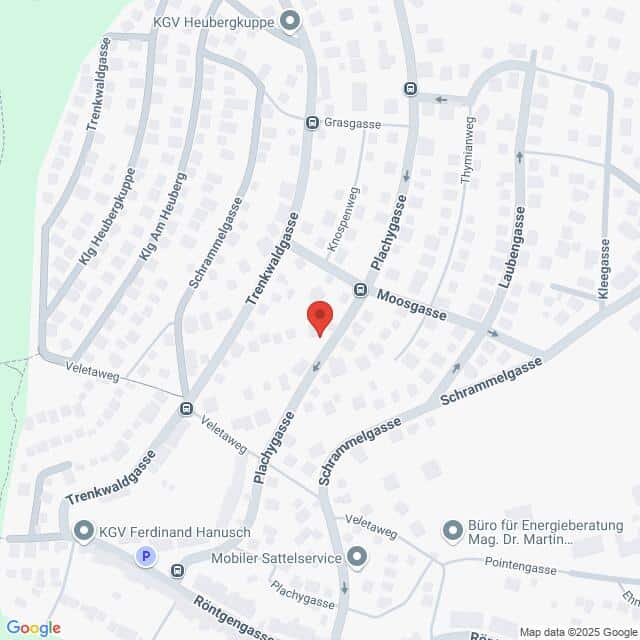 Lehrlingsportal.at Eine digitale Karte mit Straßennamen und Standorten in einem Wohngebiet, mit einer roten Standortnadel in der Pachygasse in der Nähe der Moosgasse und der Schrammelgasse.