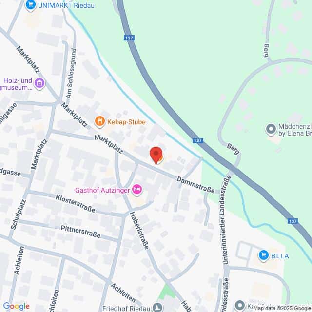 Lehrlingsportal.at Die Karte zeigt einen Ausschnitt einer Stadt mit Straßennamen, lokalen Geschäften und einem Fluss, der auf der rechten Seite verläuft. Eine Stecknadel ist in der Nähe der Dammstraße und des Marktplatzes zentriert.