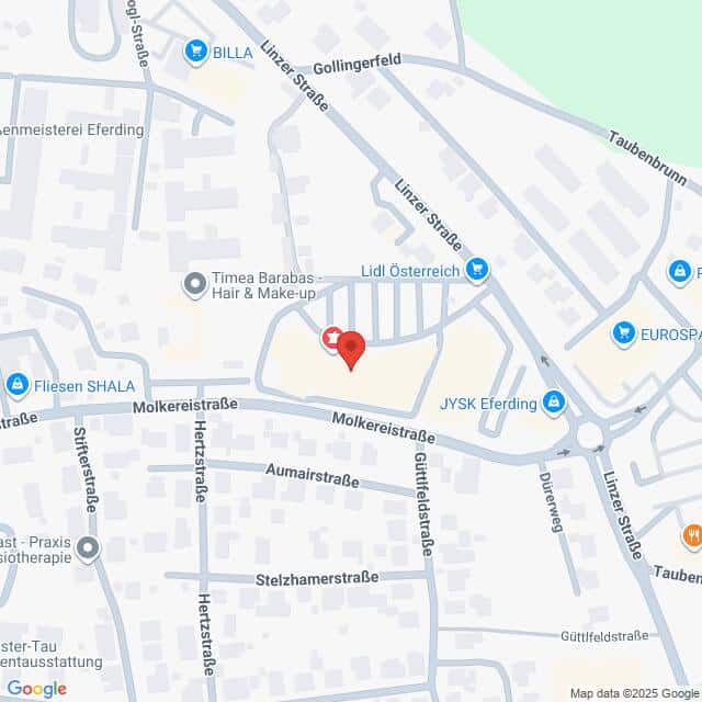 Lehrlingsportal.at Eine Karte, die einen Ausschnitt von Eferding, Österreich, zeigt, mit einer roten Stecknadel, die einen Ort in der Nähe der Linzerstraße und der Molkereistraße markiert, umgeben von verschiedenen Geschäften.