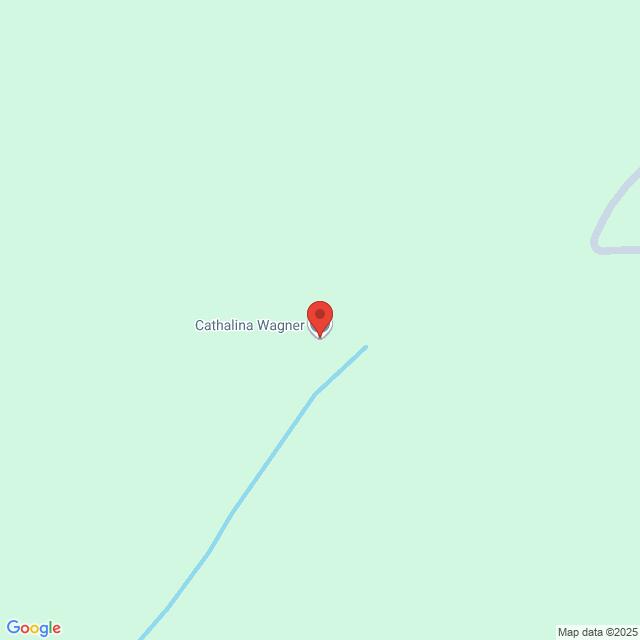 Lehrlingsportal.at Eine Google Maps-Standortnadel mit der Bezeichnung "Cathalina Wagner" befindet sich auf einem hellgrünen Hintergrund mit einer schwachen blauen Linie, die eine Straße oder einen Weg anzeigt.