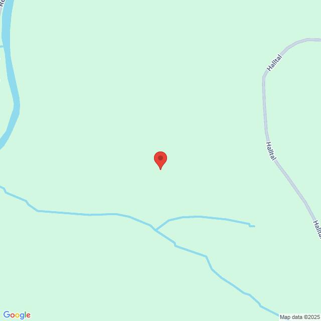 Lehrlingsportal.at Ein Screenshot von Google Maps zeigt einen roten Standort in einem grünen Gebiet mit blauen Linien in der Nähe, die Wasser darstellen, und einer beschrifteten Straße namens "Halldal" auf der rechten Seite.