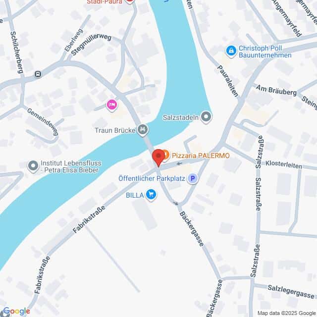 Lehrlingsportal.at Karte mit der Lage der Pizzaria PALERMO in der Nähe der Traunbrücke, mit Beschriftung der umliegenden Straßen und Geschäfte.