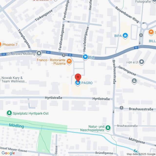 Lehrlingsportal.at Eine Karte, die einen Ausschnitt von Mödling, Österreich, in der Mitte von PAGRO, in der Nähe der Hyrtlgasse und der Brauhausstraße, zeigt, wobei nahegelegene Geschäfte und Spielplätze markiert sind.