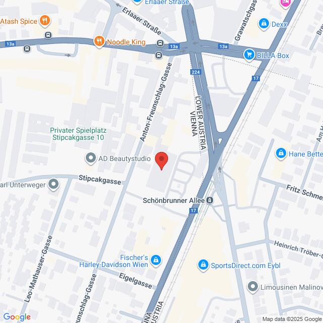Lehrlingsportal.at Eine Karte, die die Kreuzung Schönbrunner Allee und Löwen Austria zeigt, mit Beschriftung der umliegenden Geschäfte und Straßen. Ein roter Standortmarker hebt einen bestimmten Punkt auf der Karte hervor.