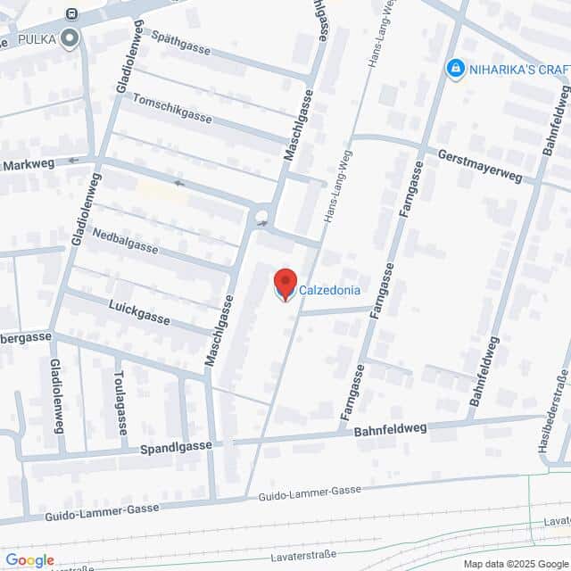 Lehrlingsportal.at Die Karte zeigt den Standort von Calzedonia an der Kreuzung Maschgasse/Fanggasse in einem Wohngebiet, wobei die umliegenden Straßen eingezeichnet sind.