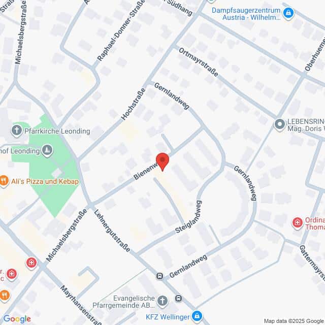 Lehrlingsportal.at Eine Karte, die einen markierten Standort an der Kreuzung Bienernweg und Steiglaufweg in Leonding, Österreich, zeigt, mit Beschriftung der umliegenden Straßen und Sehenswürdigkeiten.