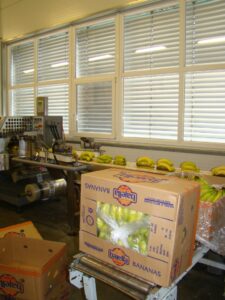 Lehrlingsportal.at Ein Verpackungsraum mit Kisten und Tüten mit Bananen auf Tischen, Verpackungsmaschinen und einer Reihe von Fenstern mit geschlossenen Jalousien im Hintergrund.
