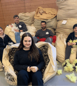 Lehrlingsportal.at Fünf Personen sitzen in großen Säcken, die mit verschiedenfarbiger Wolle gefüllt sind, in einem Raum mit Holzwänden, hinter denen sich weitere Säcke mit Wolle stapeln.