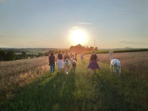 Lehrlingsportal.at Eine Gruppe von Menschen geht bei Sonnenuntergang über eine Wiese, begleitet von zwei Lamas.