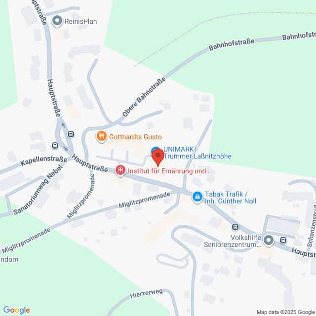 Lehrlingsportal.at Eine Karte mit der Lage des UNIMARKT Trummer/Laßnitzhöhe und des Instituts für Ernährung und, mit Beschriftung der umliegenden Straßen und Geschäfte.