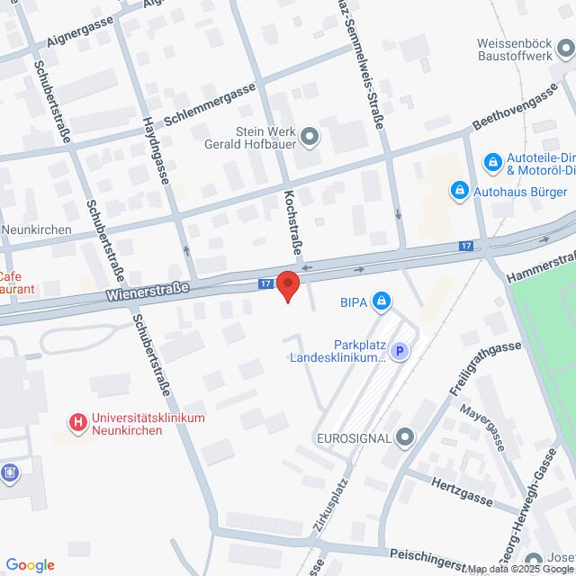 Lehrlingsportal.at Eine Karte, die die Kreuzung der Wienerstraße und der Kochstraße in Neunkirchen, Österreich, zeigt, mit Markierungen für nahegelegene Sehenswürdigkeiten und Unternehmen.