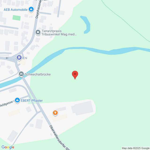 Lehrlingsportal.at Eine Karte, die den Standort in der Nähe der Schwechatbrücke zeigt, mit nahegelegenen Unternehmen und einem Fluss, der durch das Gebiet fließt.