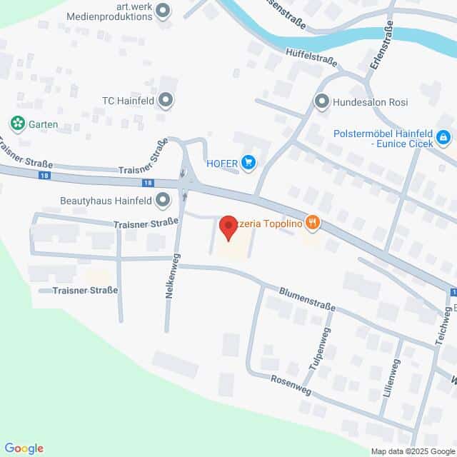 Lehrlingsportal.at Die Karte zeigt einen Abschnitt von Hainfeld, Österreich, einschließlich Trainser Straße, Nelkenweg und Blumenstraße, mit einer Markierung in der Nähe der Pizzeria Topolino.