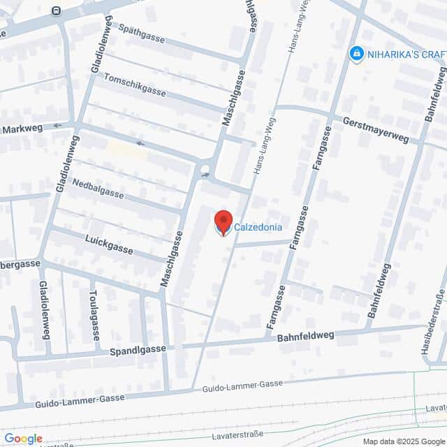 Lehrlingsportal.at Die Karte zeigt die Lage von Calzedonia in der Maschlgasse in einem Wohngebiet, wobei die umliegenden Straßen eingezeichnet sind, darunter Fangasse und Bahnhofweg.