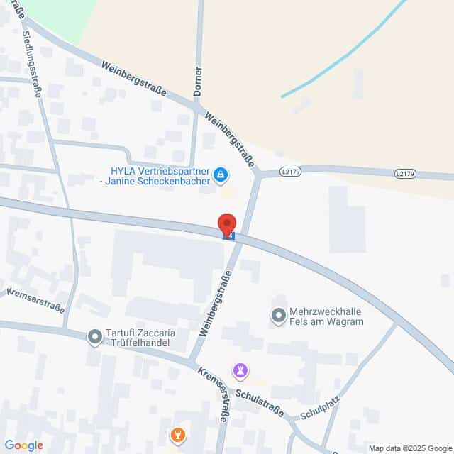 Lehrlingsportal.at Kartenansicht der Kreuzung Weinbergstraße und Kremserstraße in Fels am Wagram, Österreich, mit Beschriftung der umliegenden Geschäfte und Straßen.