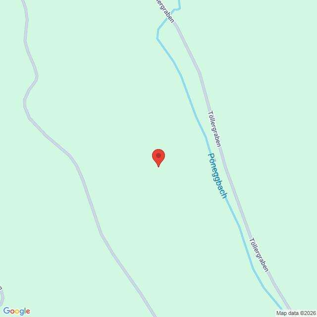 Lehrlingsportal.at Eine Karte mit einer roten Stecknadel in der Nähe des Pöneggerbachs und des Tollgrabenbachs, umgeben von blassgrünem Gelände, das nur wenige Straßen oder Landmarken zeigt.