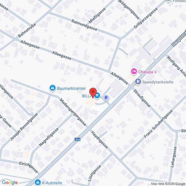 Lehrlingsportal.at Karte mit der Lage des BILLA-Supermarkts und der umliegenden Geschäfte an der Kreuzung Haydngasse und Allegasse. Nahegelegene Straßen und Wahrzeichen sind sichtbar.