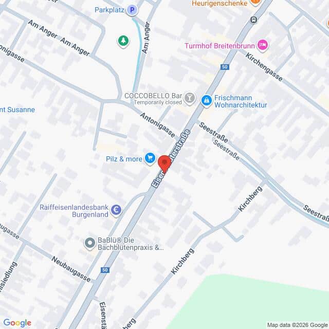 Lehrlingsportal.at Eine Karte mit Straßen und Geschäften in einem Stadtgebiet, in dessen Mittelpunkt die Esterhazystraße zwischen Seestraße und Kirchengasse steht.