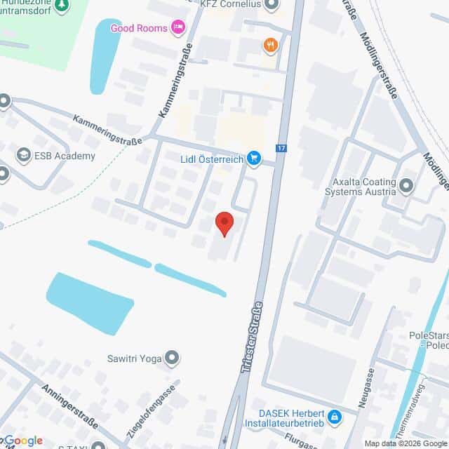 Lehrlingsportal.at Eine Kartenansicht, die den Standort einer Stecknadel entlang der Triester Straße, in der Nähe von Lidl Österreich und anderen Unternehmen in einem Industrie- und Gewerbegebiet zeigt.