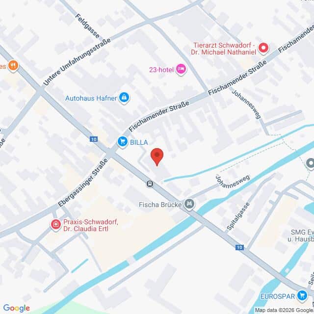 Lehrlingsportal.at Die Karte zeigt einen Ausschnitt von Fischamend, Österreich, mit Standortmarkierungen für Unternehmen, Arztpraxen, ein Hotel und die Fischabrücke. Straßen und Bahnlinien sind sichtbar.