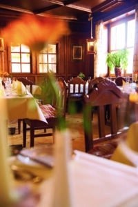 Lehrlingsportal.at Ein gemütlicher Restaurantbereich mit Holzstühlen, Tischen mit Servietten und Gläsern, Sonnenlicht, das durch die Fenster fällt, und Grünpflanzen am Fenster.