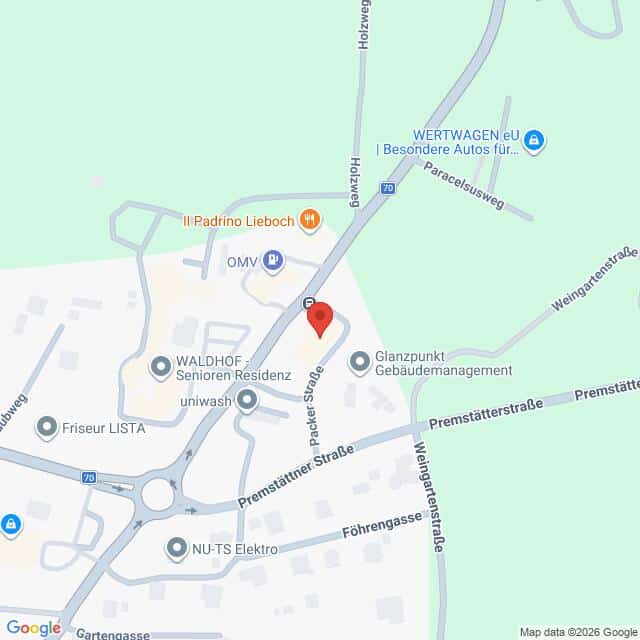 Lehrlingsportal.at Eine Karte, die die Kreuzung von Paracelsusweg, Höfing und Premstätter Straße in einem Viertel mit beschrifteten Straßen und nahe gelegenen Geschäften zeigt.