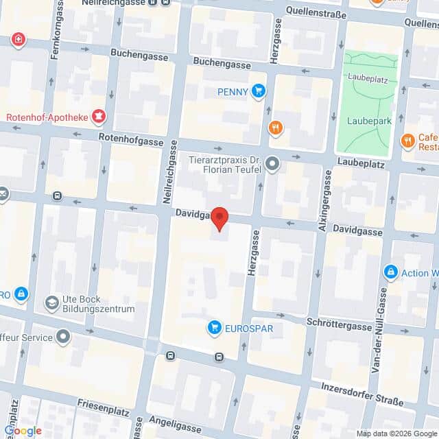 Lehrlingsportal.at Die Karte zeigt einen Stadtausschnitt mit beschrifteten Straßen, Geschäften und Sehenswürdigkeiten, wobei die Davidgasse im Mittelpunkt steht und durch eine rote Stecknadel markiert ist.