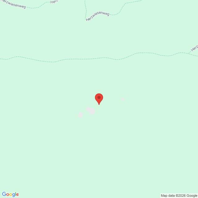 Lehrlingsportal.at Eine Standortmarkierung in Google Maps ist auf einem hellgrünen Hintergrund zentriert und kennzeichnet einen Ort in einem Park oder Naturgebiet. Es sind keine Orientierungspunkte oder Straßen zu erkennen, abgesehen von einem schwach erkennbaren Pfad im oberen Bereich.