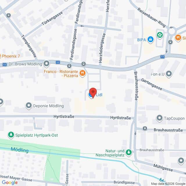 Lehrlingsportal.at Karte mit der Lage des Lidl-Marktes in der Hyrtlstraße in Mödling, Österreich, auf der die umliegenden Straßen und Sehenswürdigkeiten eingezeichnet sind.