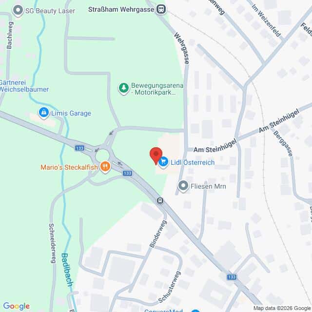 Lehrlingsportal.at Karte mit der Lage von Lidl Österreich in der Nähe der Kreuzung Am Steinhügel und Birkengasse, auf der die umliegenden Straßen, Geschäfte und Parks eingezeichnet sind.