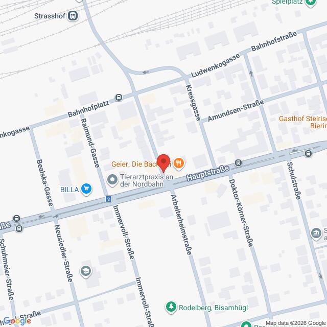 Lehrlingsportal.at Eine Karte, auf der die Kreuzung von Hauptstraße und Kresseggasse zu sehen ist, mit den in der Nähe gelegenen Geschäften und Straßen, darunter „Geier Die Bäckerei“ und eine Tierarztpraxis.