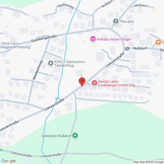 Lehrlingsportal.at Eine digitale Karte der Gegend um Nußdorf, auf der die Lienzerstraße zu sehen ist und ein roter Marker einen Ort kennzeichnet.
