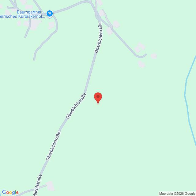 Lehrlingsportal.at Google Maps-Ansicht mit einer roten Standortmarkierung in der Oberbichlstraße.