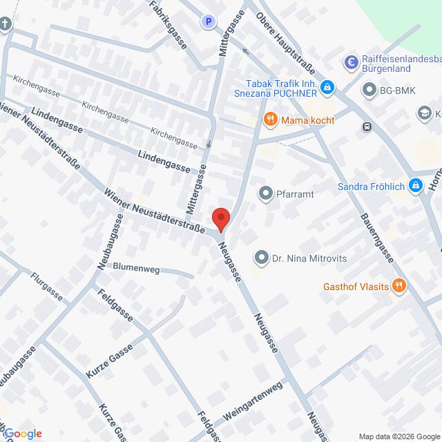 Lehrlingsportal.at Eine Karte, auf der ein roter Marker einen Ort an der Kreuzung der Wiener Neustädterstraße und der Neugasse kennzeichnet.