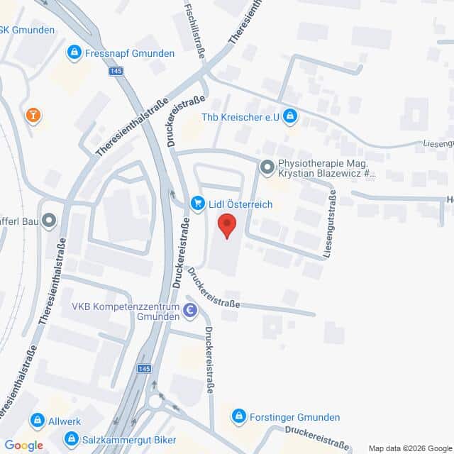 Lehrlingsportal.at Karte mit der Lage einer Lidl-Filiale in Gmunden, Österreich, auf der verschiedene lokale Geschäfte und Straßen eingezeichnet sind.