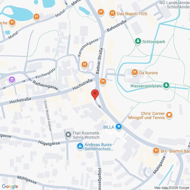 Lehrlingsportal.at Google-Maps-Ansicht der Gegend um die Hochstraße und die Badner Straße mit einer roten Stecknadel, die einen Standort markiert.